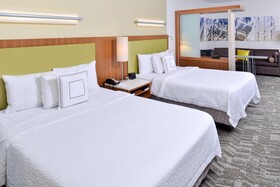 SpringHill Suites Detroit Metro Airport Romulus