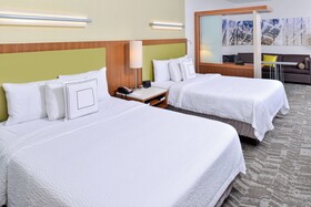 SpringHill Suites Detroit Metro Airport Romulus