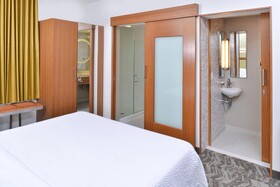SpringHill Suites Detroit Metro Airport Romulus