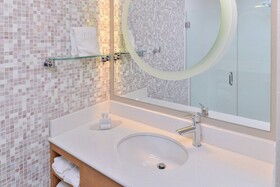 SpringHill Suites Detroit Metro Airport Romulus