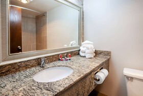 Wingate by Wyndham Detroit Metro Airport
