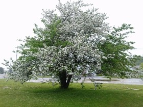Huron Inn