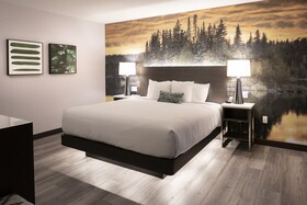 Cambria Hotel Shelby Township-Detroit
