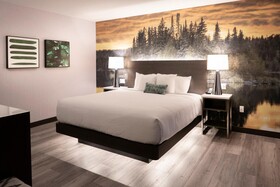 Cambria Hotel Shelby Township-Detroit