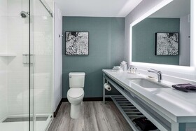 Cambria Hotel Shelby Township-Detroit