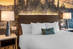 Cambria Hotel Shelby Township-Detroit
