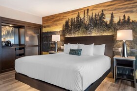 Cambria Hotel Shelby Township-Detroit
