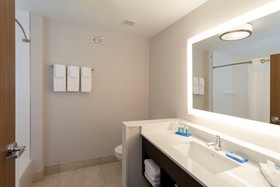 Holiday Inn Express South Haven