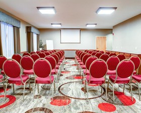 Comfort Suites Stevensville - St. Joseph