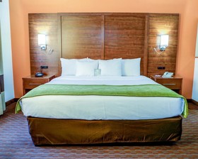 Comfort Suites Stevensville - St. Joseph