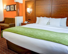 Comfort Suites Stevensville - St. Joseph