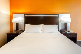 Delamar Traverse City