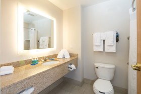 Holiday Inn Express Hotel & Suites Detroit - Utica