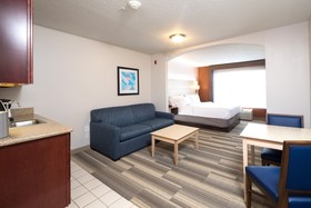 Holiday Inn Express Hotel & Suites Detroit - Utica