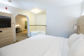 Holiday Inn Express Hotel & Suites Detroit - Utica