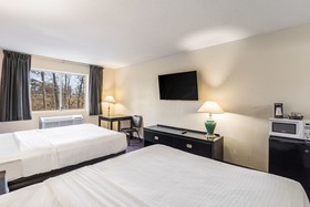 Econo Lodge Whitehall Near Michigan's Adventure