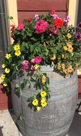 The Afton House Inn