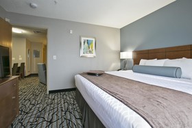 Best Western Plus Blaine At The National Sports Center