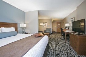 Best Western Plus Blaine At The National Sports Center