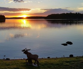 Pine Point Lodge Resort & Motel