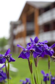 Best Western Premier The Lodge On Lake Detroit