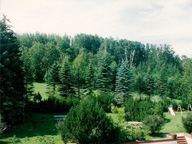 The Trailside Hotel