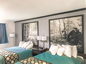 Super 8 by Wyndham Duluth