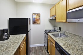 TownePlace Suites Minneapolis-St. Paul Airport/Eagan