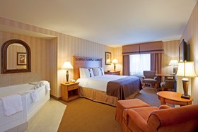 Holiday Inn Hotel & Suites Minneapolis - Lakeville