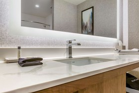 Cambria Hotel Minneapolis Downtown