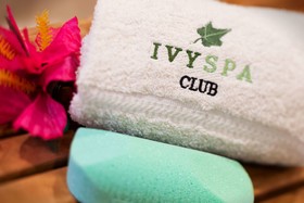 Hotel Ivy, a Luxury Collection Hotel, Minneapolis