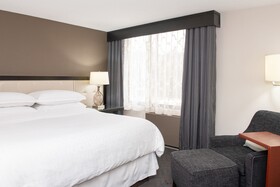 Sheraton Minneapolis West