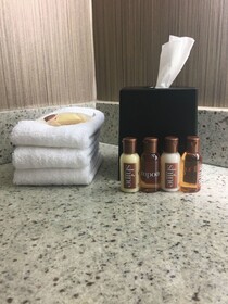 Sheraton Minneapolis West