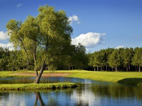 Thumper Pond Resort