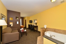 Holiday Inn Express Rochester South - Mayo Area