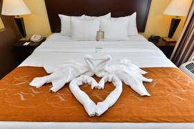 Holiday Inn Express Rochester South - Mayo Area