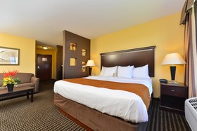 Holiday Inn Express Rochester South - Mayo Area