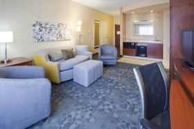 Courtyard Rochester Mayo Clinic Area/Saint Marys