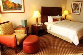 Hilton Garden Inn Rochester Downtown