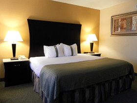 Hotel Indigo Rochester Downtown