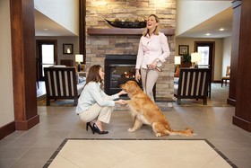Staybridge Suites Rochester Commerce Dr Nw