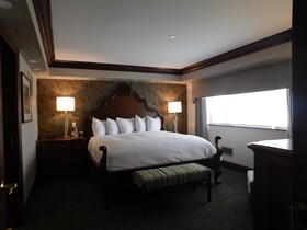 The Towers At The Kahler Grand Hotel