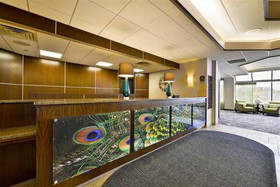 Best Western Plus Kelly Inn - St. Cloud Hotel