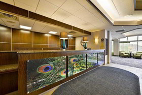 Best Western Plus Kelly Inn - St. Cloud Hotel