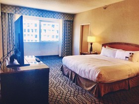 DoubleTree by Hilton Hotel St Paul Downtown