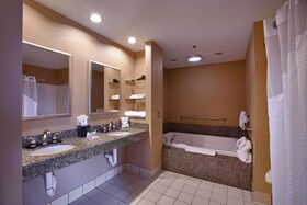 Holiday Inn Hotel & Suites St. Paul NE - Lake Elmo