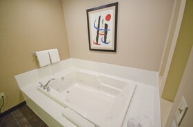 Holiday Inn Hotel & Suites St. Paul NE - Lake Elmo