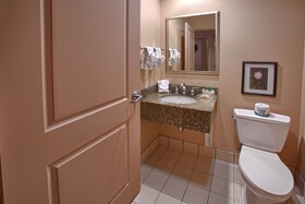 Holiday Inn Hotel & Suites St. Paul NE - Lake Elmo