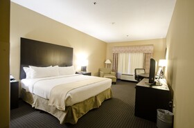 Holiday Inn Hotel & Suites St. Paul NE - Lake Elmo