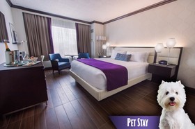 Harrah's Gulf Coast Hotel